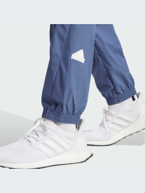 Брюки Adidas модель IR9239-KZ Фото