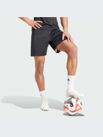 Шорты Adidas модель IK5755-KZ Фото