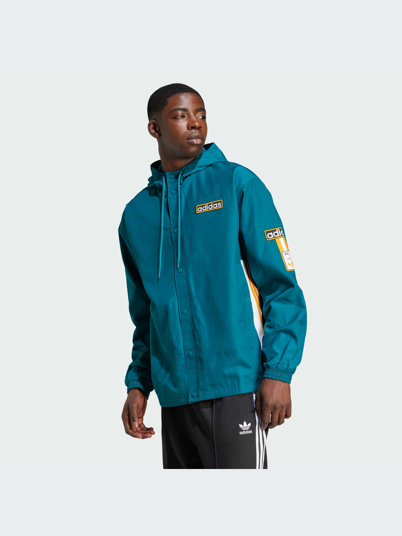 Куртки и дубленки Adidas Adicolor модель IW5811-KZ Фото
