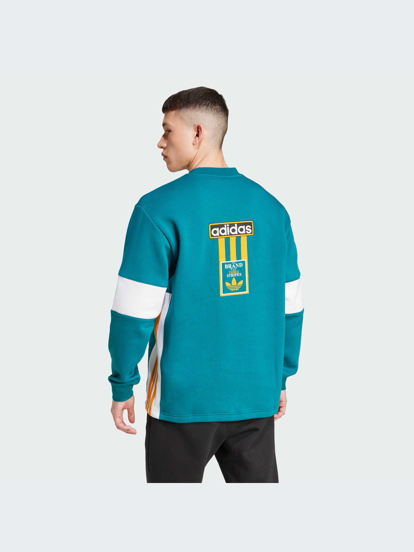 Худи и свитшоты Adidas Adicolor модель IW5813-KZ Фото