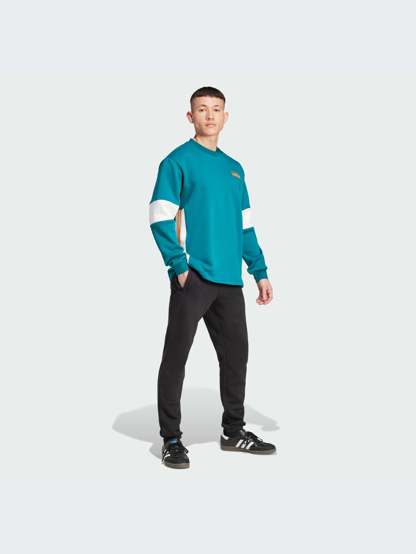 Худи и свитшоты Adidas Adicolor модель IW5813-KZ Фото