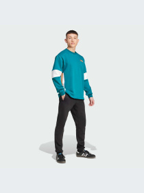 Худи и свитшоты Adidas Adicolor модель IW5813-KZ Фото