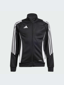 Худи и свитшоты Adidas Tiro модель IJ9958-KZ Фото