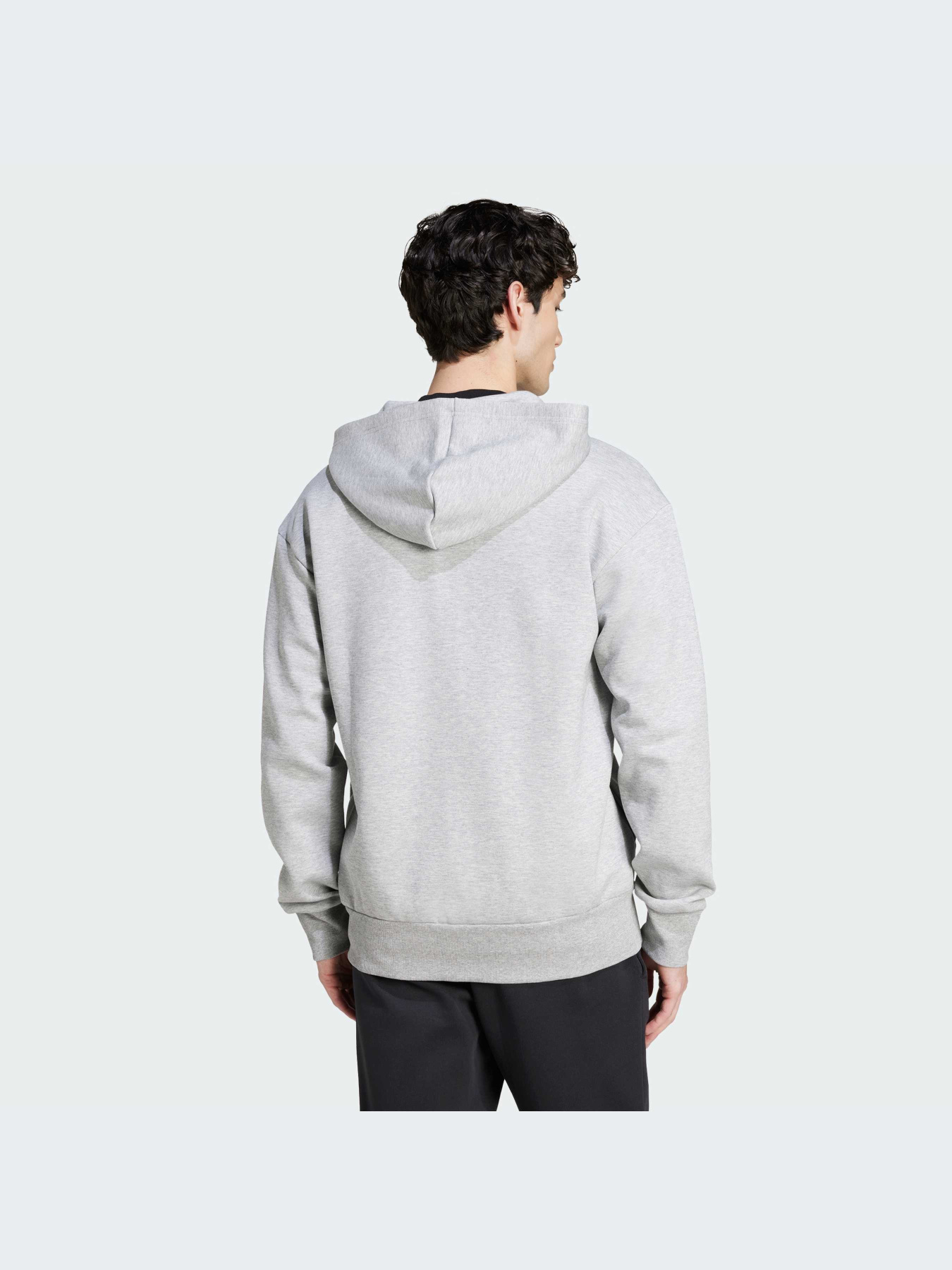 Худи и свитшоты Adidas Icons модель IW8597-KZ Фото