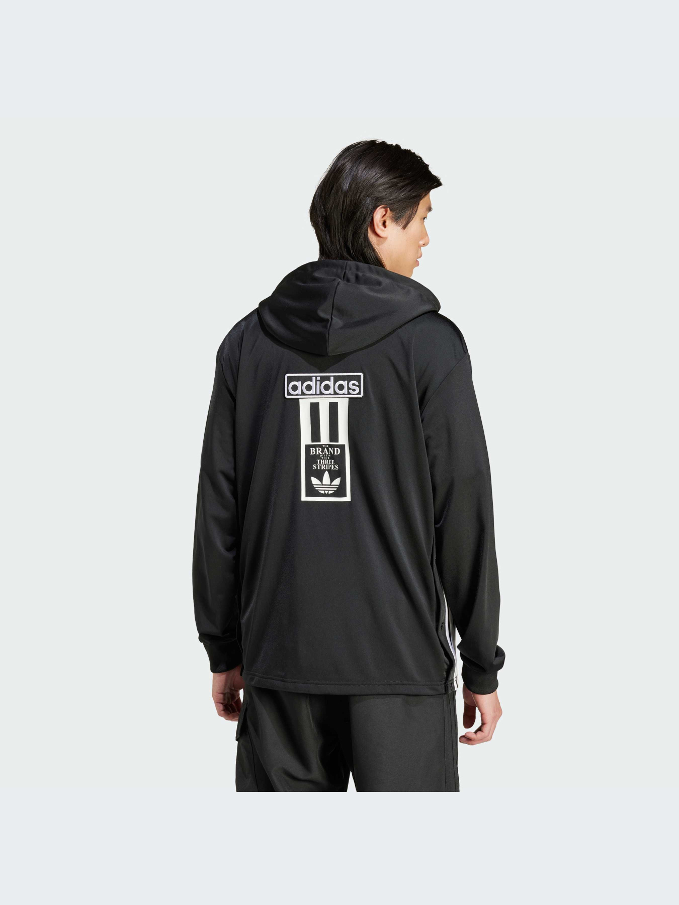 Худи и свитшоты Adidas Adicolor модель IM8210-KZ Фото