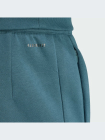 Брюки Adidas модель IU2117-KZ Фото