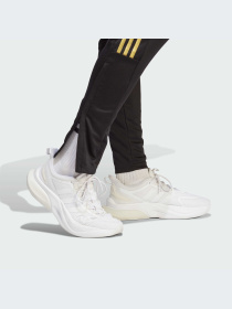 Брюки Adidas Tiro модель IJ8403-KZ Фото