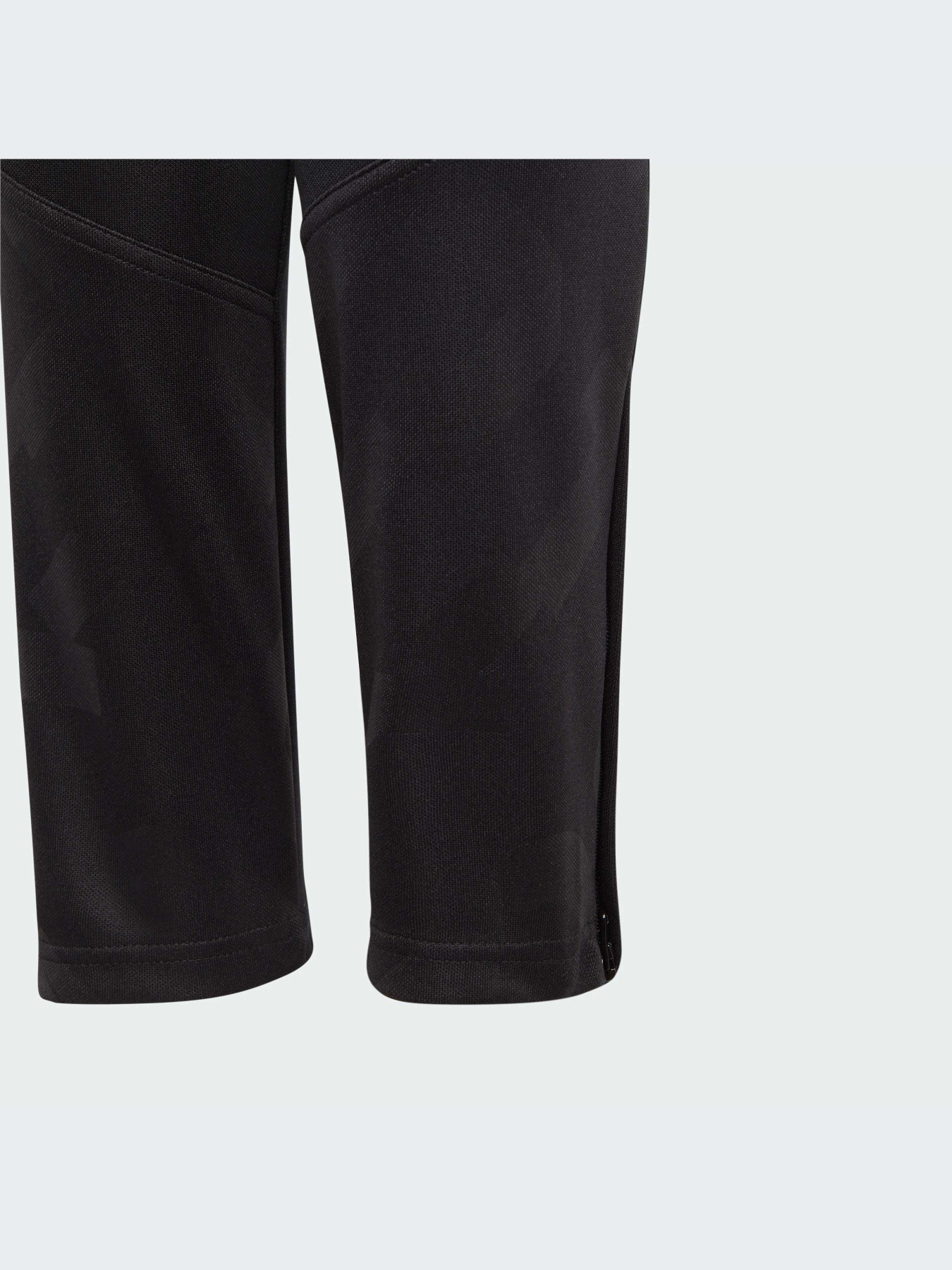 Брюки Adidas модель IJ4944-KZ Фото