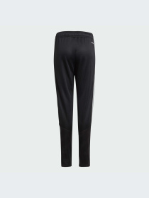 Брюки Adidas модель IJ4944-KZ Фото