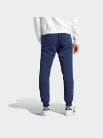 Брюки Adidas Adicolor модель IM9445-KZ Фото
