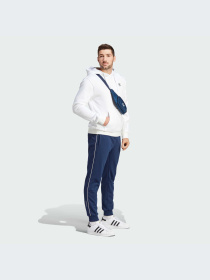 Брюки Adidas Adicolor модель IM9445-KZ Фото