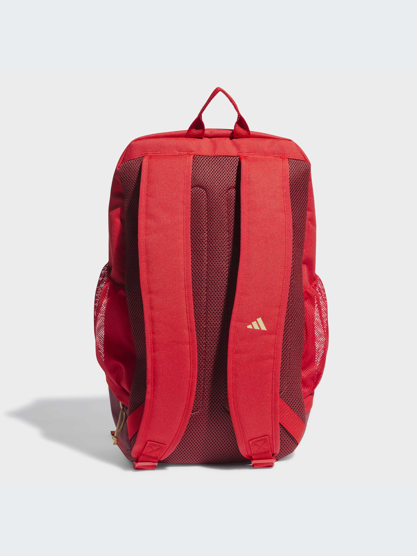 Рюкзаки Adidas модель IB4576-KZ Фото