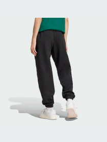 Брюки Adidas модель IW1024-KZ Фото