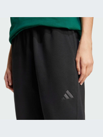Брюки Adidas модель IW1024-KZ Фото