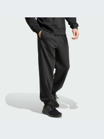 Брюки Adidas модель IX1252-KZ Фото