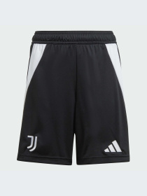 Шорты Adidas модель IT3553-KZ Фото