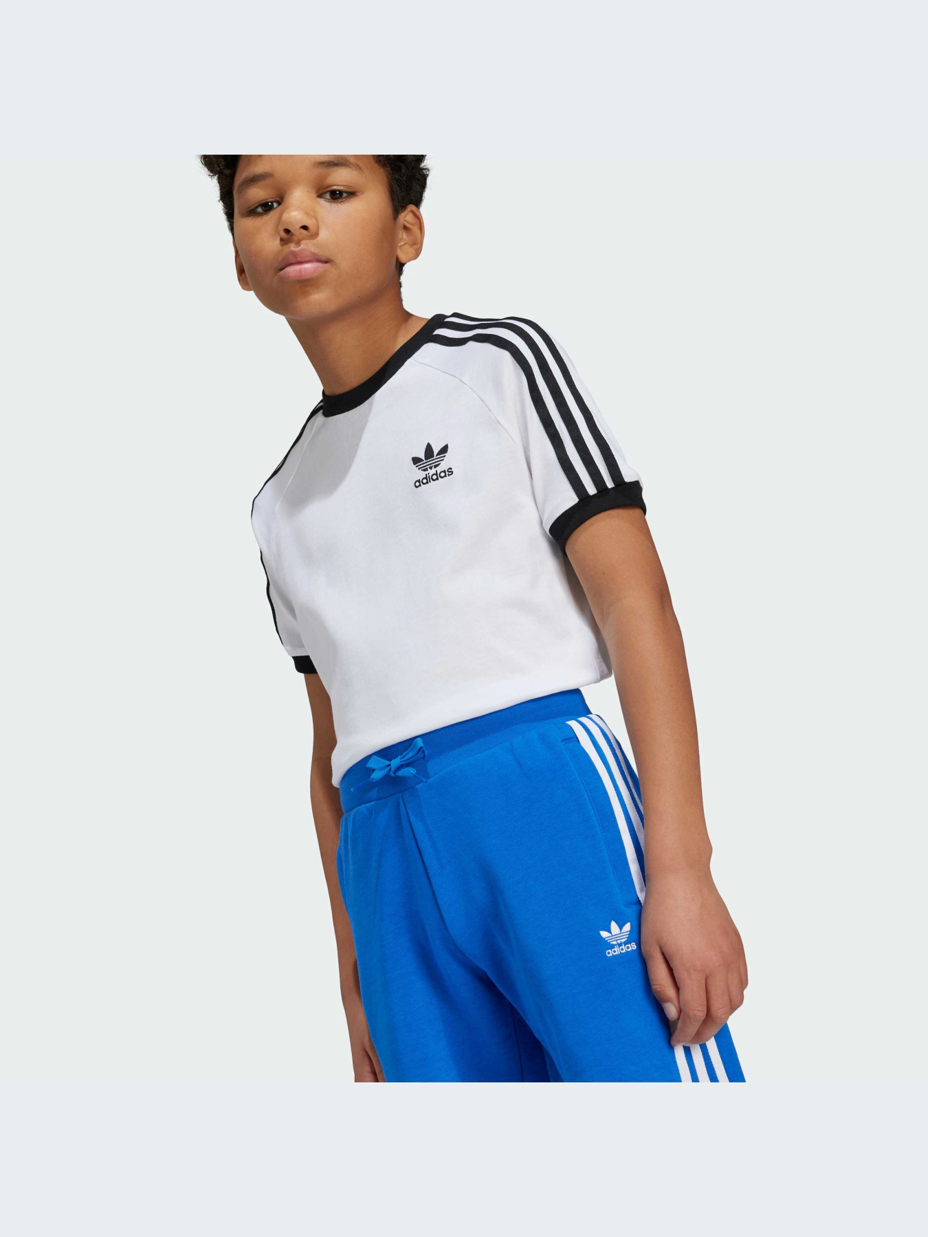 Шорты Adidas Adicolor модель IY7479-KZ Фото