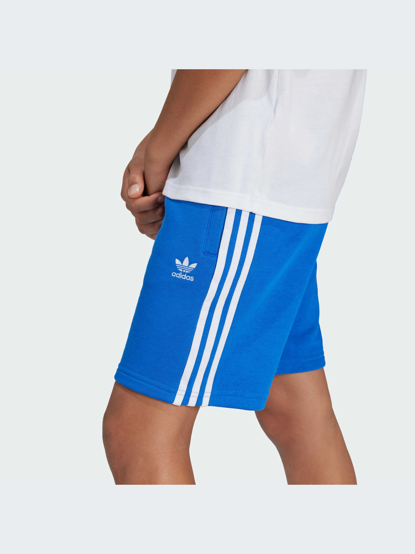 Шорты Adidas Adicolor модель IY7479-KZ Фото