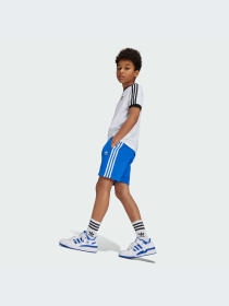 Шорты Adidas Adicolor модель IY7479-KZ Фото