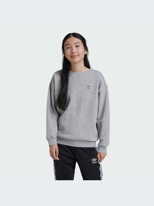 Худи и свитшоты Adidas модель IZ4813-KZ Фото