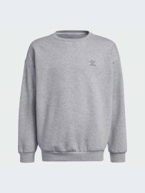 Худи и свитшоты Adidas модель IZ4813-KZ Фото