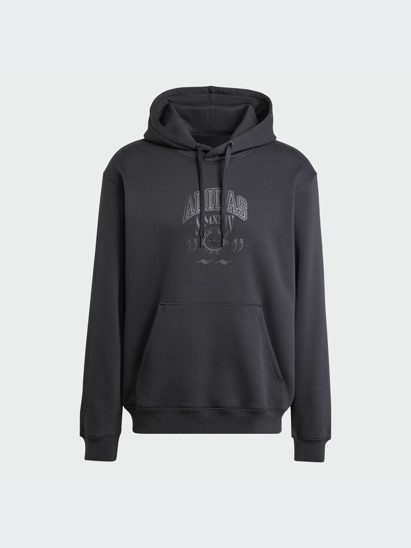 Худи и свитшоты Adidas Graphics модель IZ2566-KZ Фото