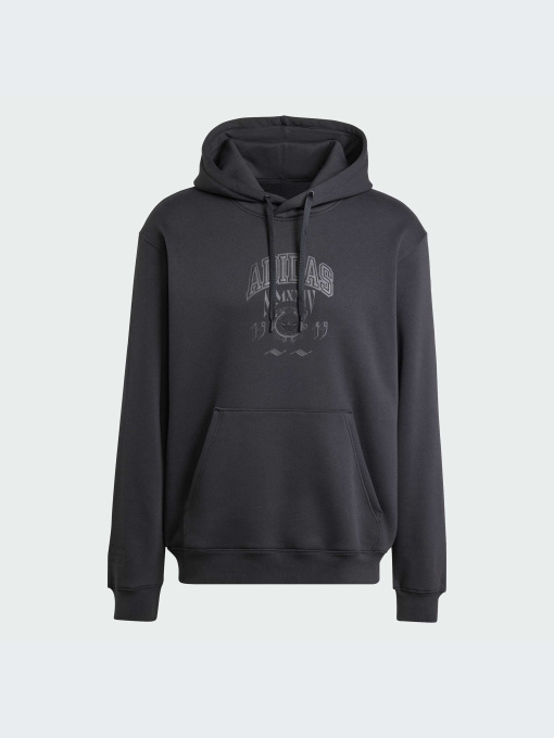 Худи и свитшоты Adidas Graphics модель IZ2566-KZ Фото