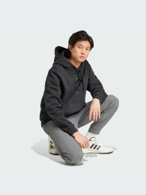 Худи и свитшоты Adidas Graphics модель IZ2566-KZ Фото