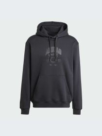 Худи и свитшоты Adidas Graphics модель IZ2566-KZ Фото