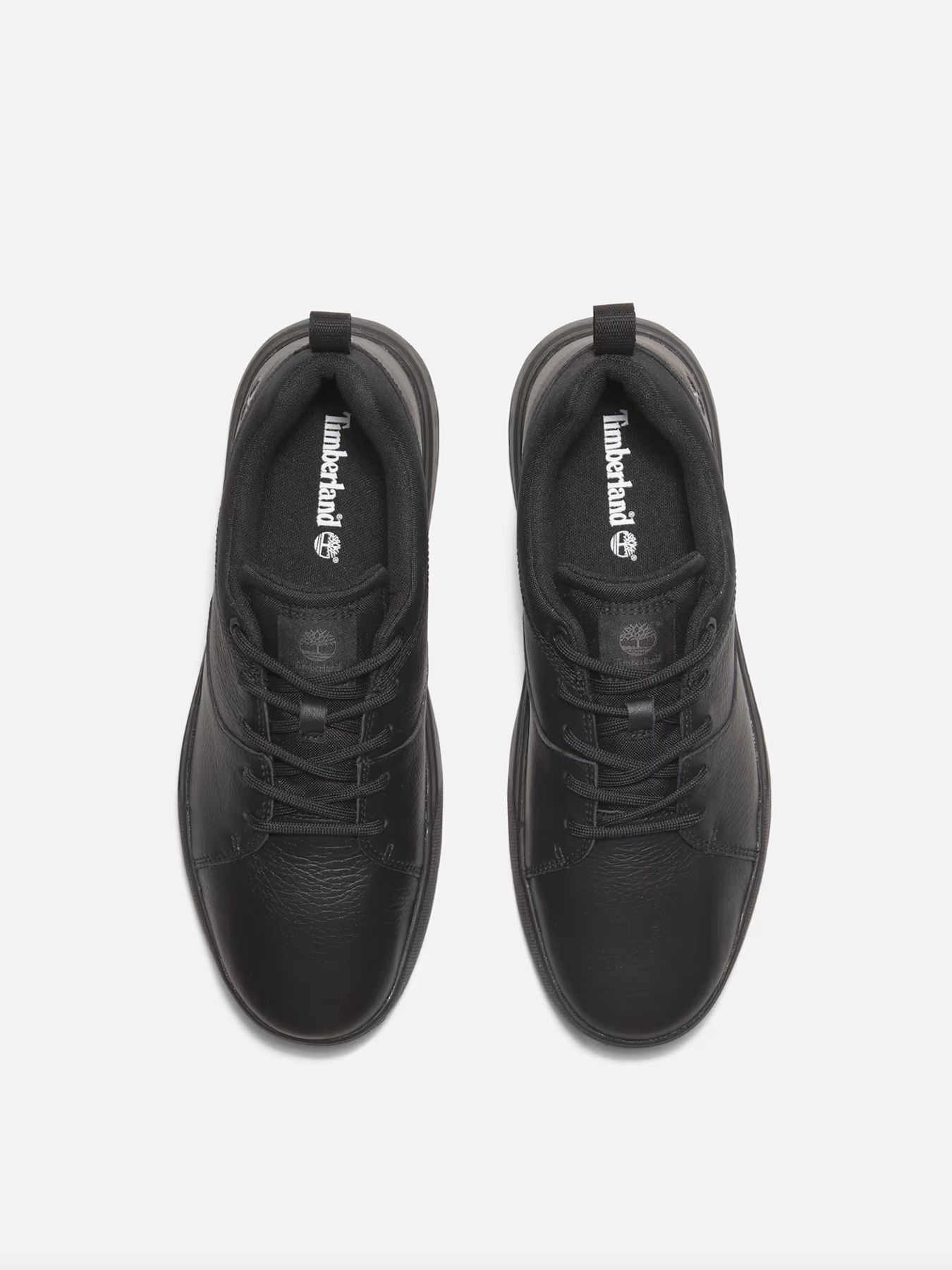 Кеды Timberland модель TB0A69G9W02 Фото