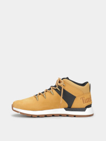 Ботинки и сапоги Timberland модель TB0A6DQDEJS Фото