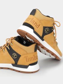 Ботинки и сапоги Timberland модель TB0A6DQDEJS Фото