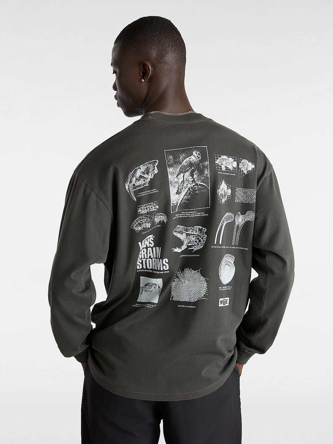 Худи и свитшоты Vans модель VN000JQSBLK1 Худи и свитшоты Vans модель VN000JQSBLK1 Фото