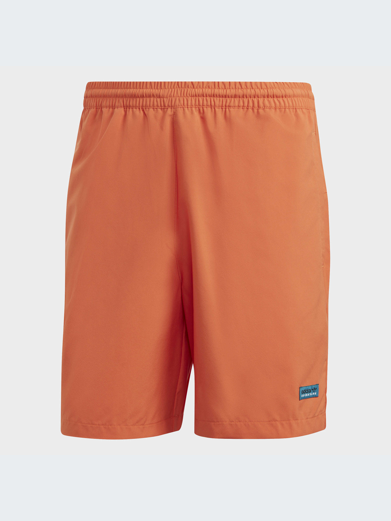 Шорты Adidas модель HR4259-KZ Фото