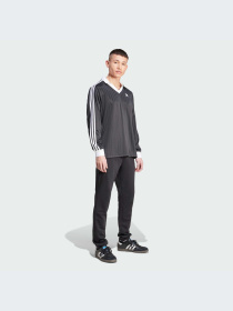 Худи и свитшоты Adidas Adicolor модель IZ4808-KZ Фото