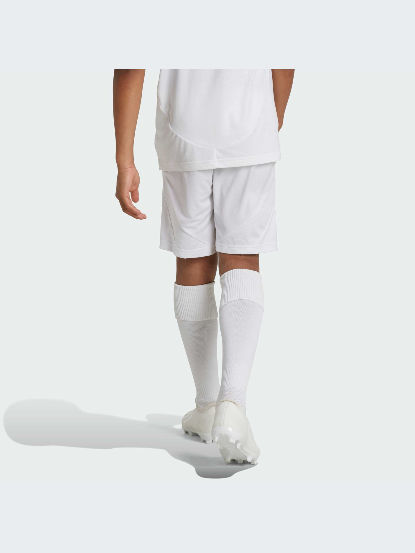 Шорты Adidas модель IT5176-KZ Фото