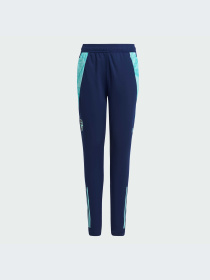 Брюки Adidas модель IT2209-KZ Фото
