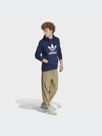 Худи и свитшоты Adidas Adicolor модель IM4496-KZ Фото