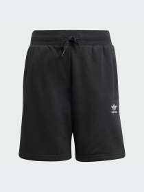 Шорты Adidas модель IW3499-KZ Фото