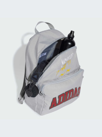 Рюкзаки Adidas Graphics модель IX7478-KZ Фото