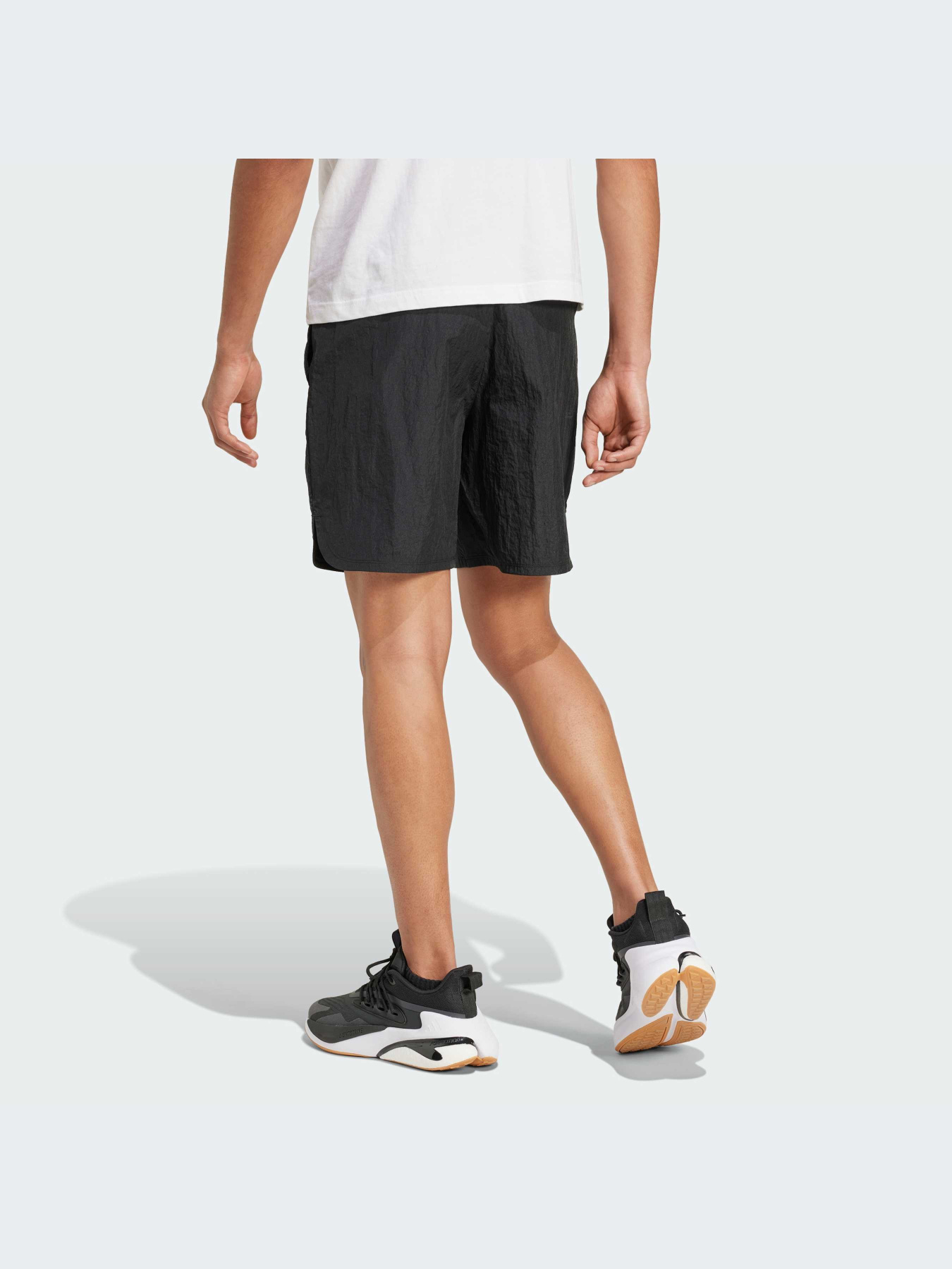 Шорты Adidas модель IY1509-KZ Фото
