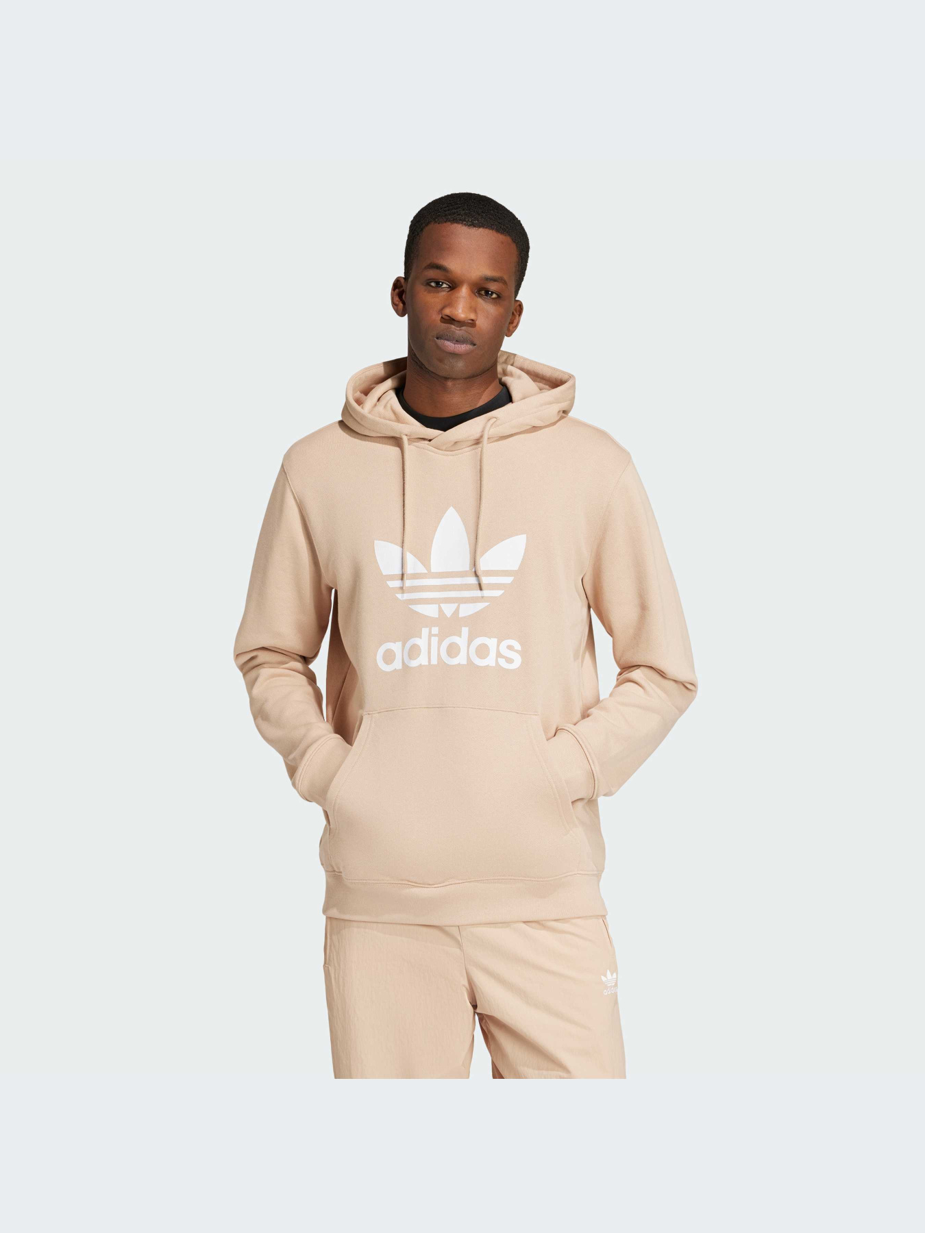 Худи и свитшоты Adidas Adicolor модель IZ2359-KZ Фото