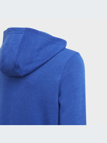 Худи и свитшоты Adidas модель GN4028-KZ Фото