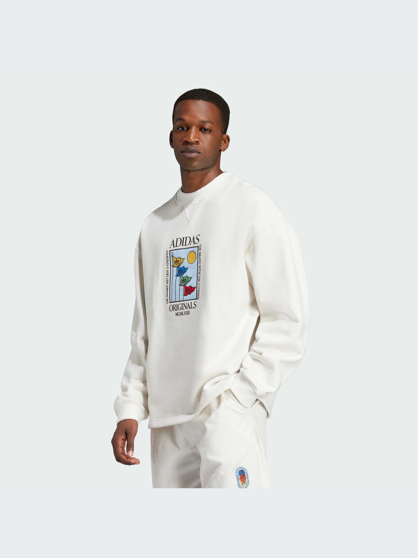 Худи и свитшоты Adidas Graphics модель IX6745-KZ Фото