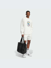 Худи и свитшоты Adidas Graphics модель IX6745-KZ Фото