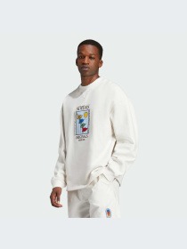 Худи и свитшоты Adidas Graphics модель IX6745-KZ Фото