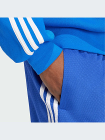 Шорты Adidas Adicolor модель IZ2451-KZ Фото
