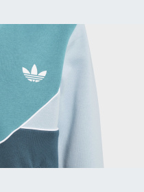 Худи и свитшоты Adidas Adicolor модель IJ5381-KZ Фото