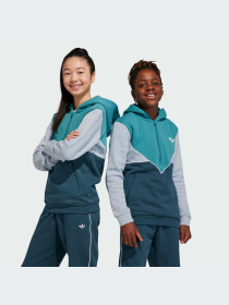 Худи и свитшоты Adidas Adicolor модель IJ5381-KZ Фото