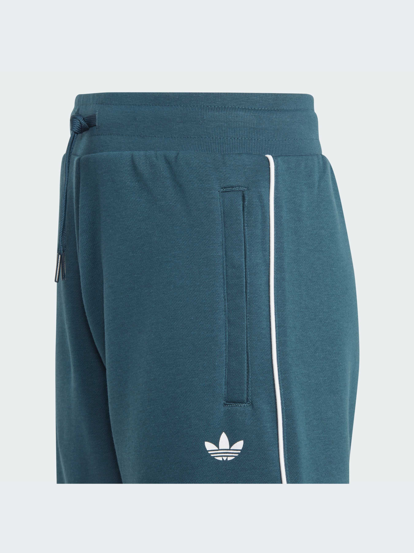 Шорты Adidas Adicolor модель IJ5394-KZ Фото
